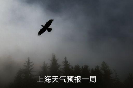 上海氣象局天氣預(yù)報(bào)，上海天氣