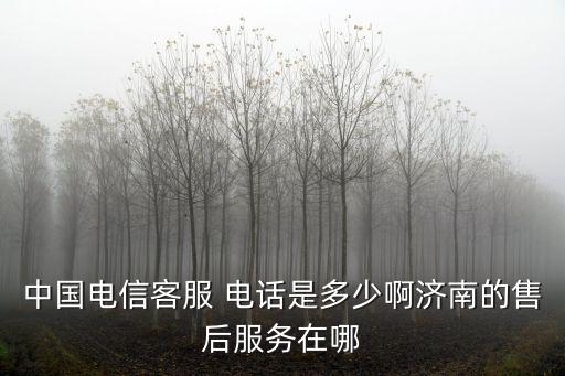 中國電信客服 電話是多少啊濟南的售后服務在哪
