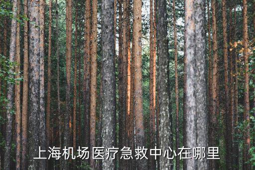 上海機場醫療急救中心在哪里