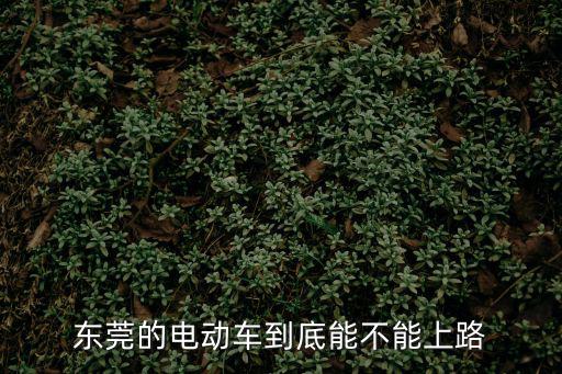 東莞的電動車到底能不能上路