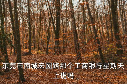 東莞市南城宏圖路那個工商銀行星期天上班嗎