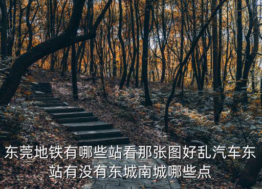 東莞地鐵有哪些站看那張圖好亂汽車(chē)東站有沒(méi)有東城南城哪些點(diǎn)