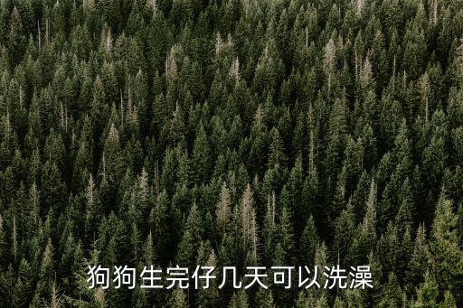 狗狗生完仔幾天可以洗澡