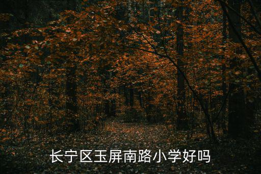 長寧區(qū)玉屏南路小學(xué)好嗎
