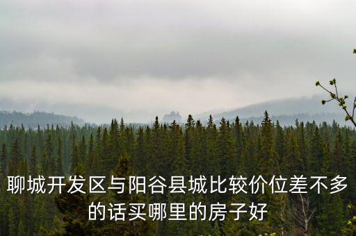 聊城開發區與陽谷縣城比較價位差不多的話買哪里的房子好
