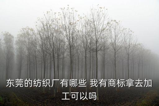 東莞紡織廠名單，東莞紡織廠哪里最多