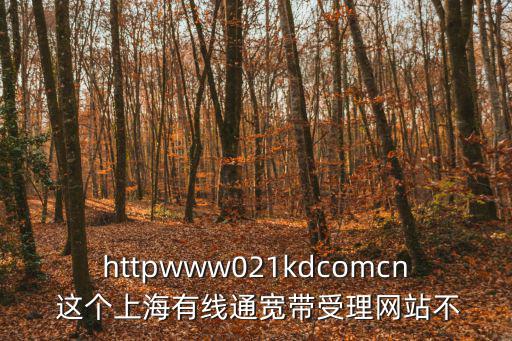 httpwww021kdcomcn 這個上海有線通寬帶受理網站不
