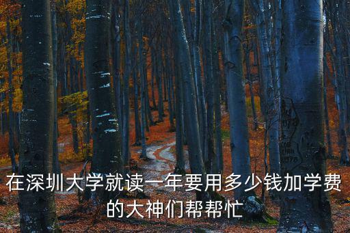 在深圳大學就讀一年要用多少錢加學費的大神們幫幫忙