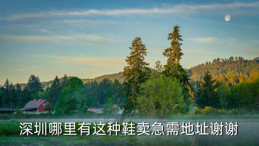 深圳哪里有這種鞋賣急需地址謝謝