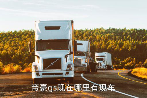 帝豪gs現(xiàn)在哪里有現(xiàn)車(chē)
