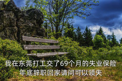 我在東莞打工交了69個(gè)月的失業(yè)保險(xiǎn)年底辭職回家請(qǐng)問可以領(lǐng)失