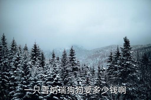 黑色雪納瑞多少錢一只，一只雪納瑞狗狗要多少錢啊