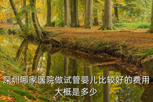 深圳哪家醫(yī)院做試管嬰兒比較好的費(fèi)用大概是多少