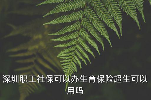深圳職工社?？梢赞k生育保險超生可以用嗎