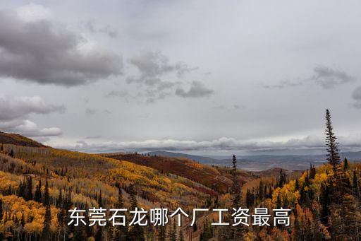東莞石龍哪個廠工資最高