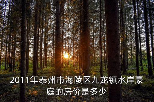 2011年泰州市海陵區九龍鎮水岸豪庭的房價是多少