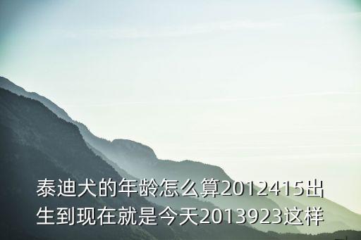 泰迪犬的年齡怎么算2012415出生到現(xiàn)在就是今天2013923這樣
