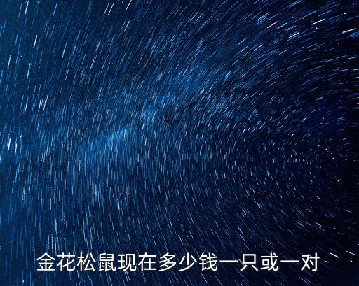 小金花松鼠幼鼠多少錢，金花松鼠一直小的多少錢 養(yǎng)了3個月