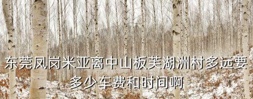 東莞鳳崗米亞離中山板芙湖洲村多遠要多少車費和時間啊