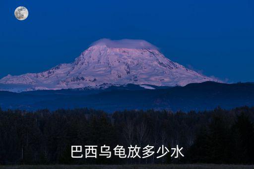 巴西烏龜放多少水