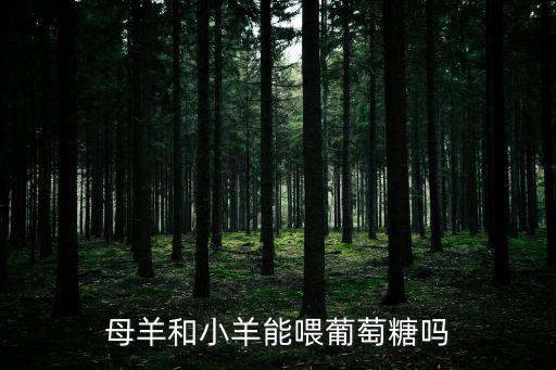 羊怎么喂葡萄糖喂多少，羊可以適量的飼喂葡萄糖嗎