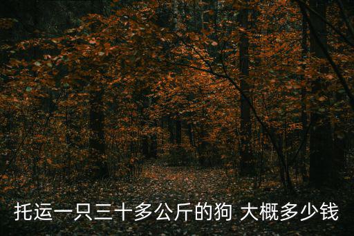 小狗辦理托運多少錢啊，托運一只三十多公斤的狗 大概多少錢