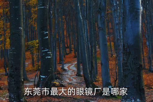 東莞市最大的眼鏡廠是哪家