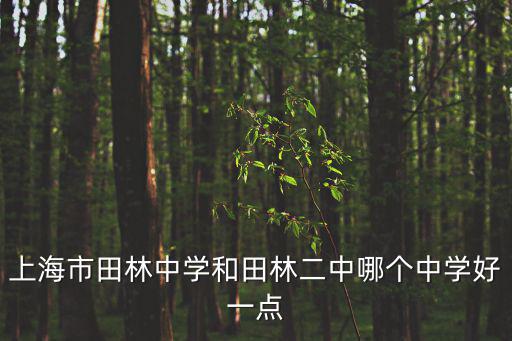 上海市田林二中升學率，上海市田林中學和田林二中哪個中學好一點