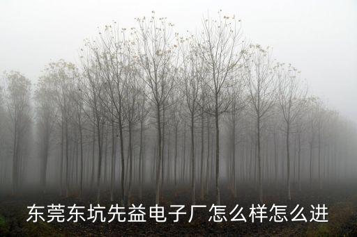 東莞東坑先益電子廠怎么樣怎么進