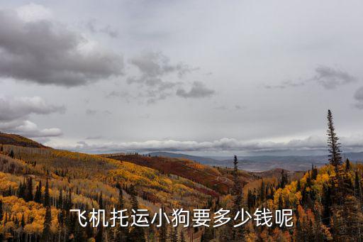 飛機(jī)托運(yùn)小狗要多少錢呢