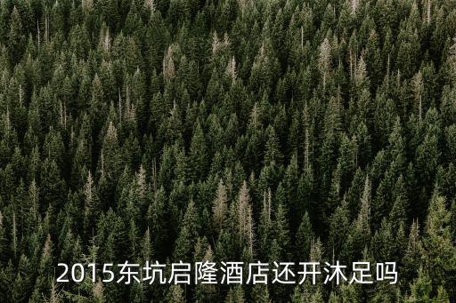 2015東坑啟隆酒店還開沐足嗎