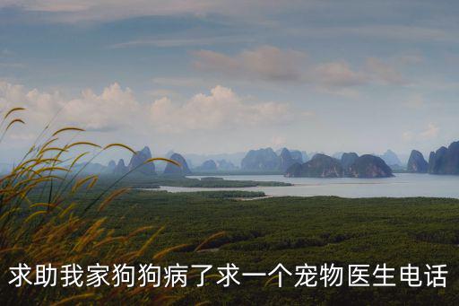 寵物醫生的電話多少，求助我家狗狗病了求一個寵物醫生電話