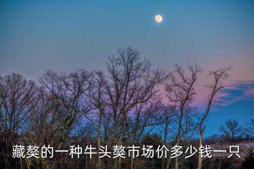 藏獒的一種牛頭獒市場(chǎng)價(jià)多少錢(qián)一只
