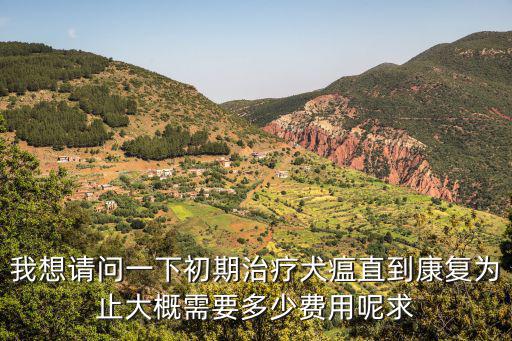 我想請(qǐng)問(wèn)一下初期治療犬瘟直到康復(fù)為止大概需要多少費(fèi)用呢求