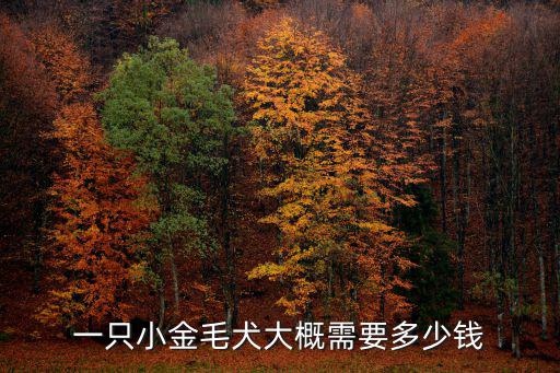 一只小金毛犬大概需要多少錢