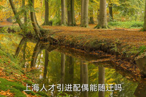 上海人才引進配偶能隨遷嗎