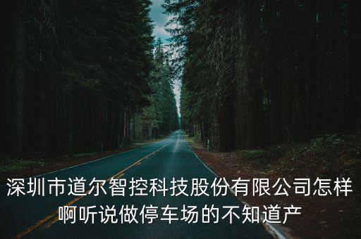 深圳市道爾智控科技股份有限公司怎樣啊聽說做停車場的不知道產