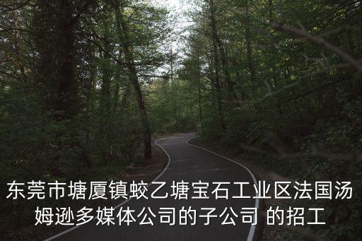 東莞市塘廈鎮(zhèn)蛟乙塘寶石工業(yè)區(qū)法國湯姆遜多媒體公司的子公司 的招工