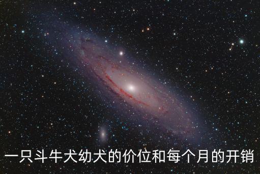 一只斗牛犬幼犬的價(jià)位和每個(gè)月的開銷