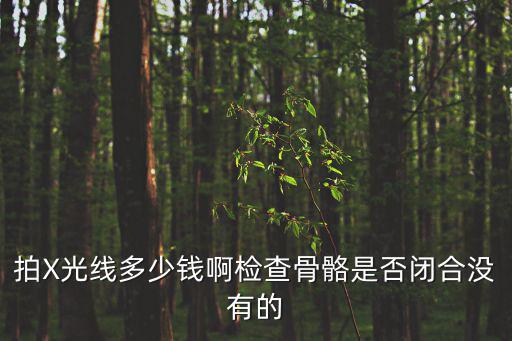 貓拍x光多少錢，拍x光需要多少錢