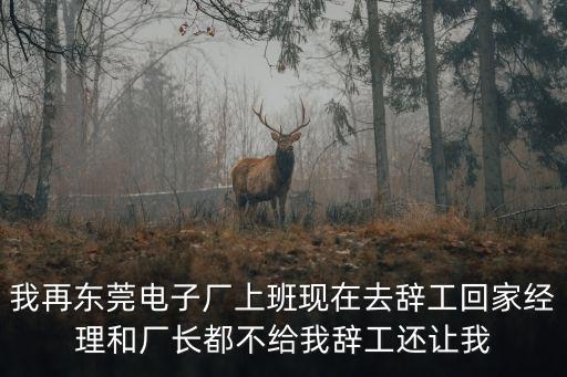 我再東莞電子廠上班現(xiàn)在去辭工回家經(jīng)理和廠長都不給我辭工還讓我