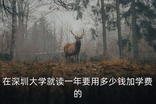 在深圳大學就讀一年要用多少錢加學費的