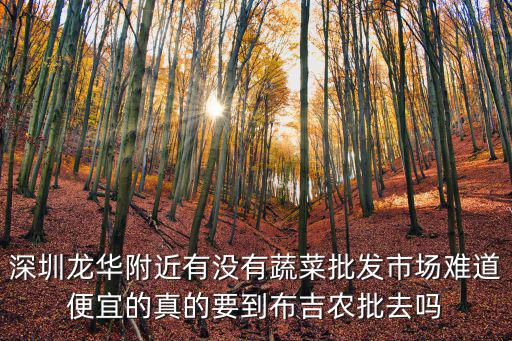 深圳沒有蔬菜，深圳寶安哪里有蔬菜批發市場知道的請幫下忙說個詳細地址謝謝