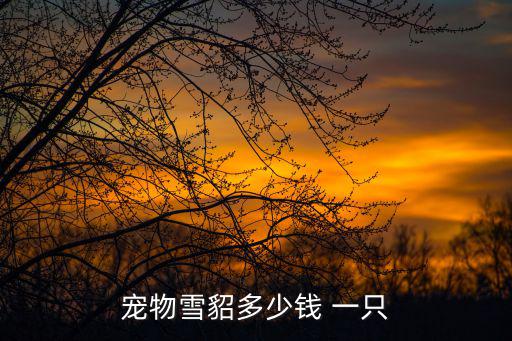 一只雪貂大概要多少錢，寵物雪貂多少錢 一只