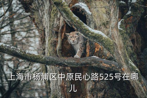 上海市楊浦區中原民心路525號在哪兒