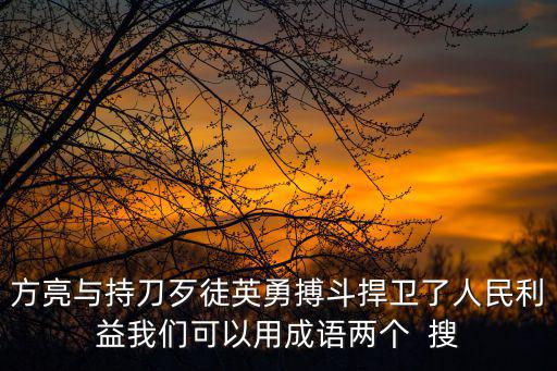 方亮與持刀歹徒英勇搏斗捍衛了人民利益我們可以用成語兩個  搜
