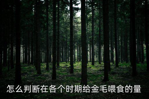 怎么判斷在各個時期給金毛喂食的量