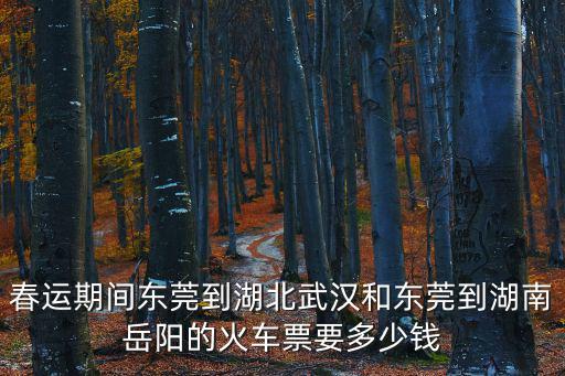 春運(yùn)期間東莞到湖北武漢和東莞到湖南岳陽(yáng)的火車票要多少錢(qián)