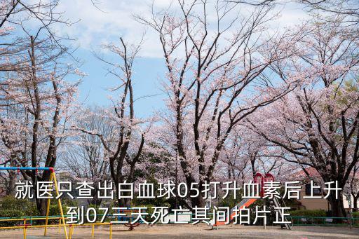 就醫(yī)只查出白血球05打升血素后上升到07三天死亡其間拍片正