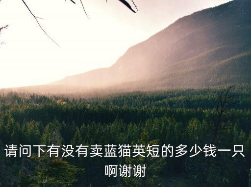 請問下有沒有賣藍貓英短的多少錢一只啊謝謝